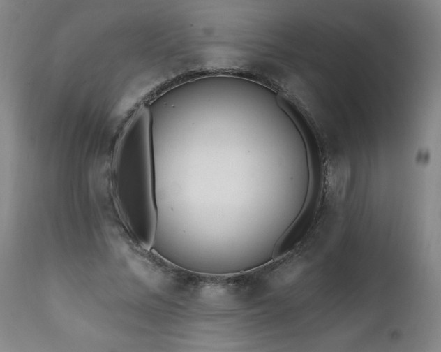 X0000112060684200908041215