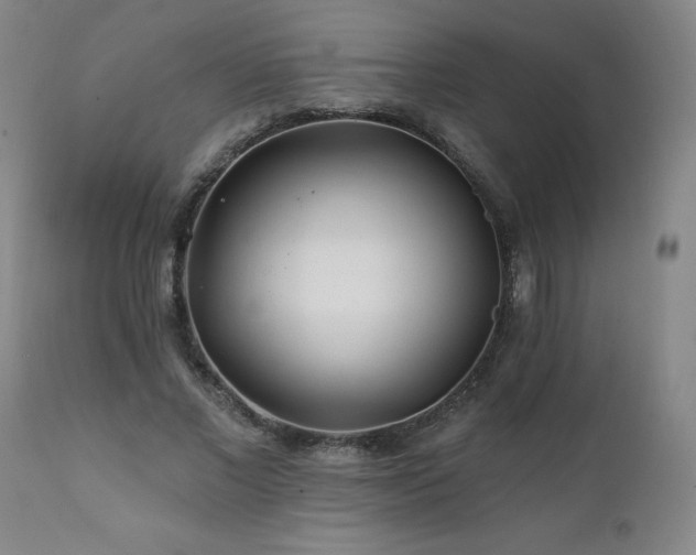 X0000112060685200908041215