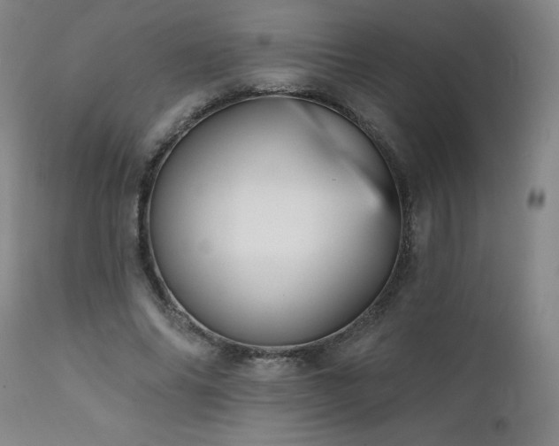 X0000112060686200908041215