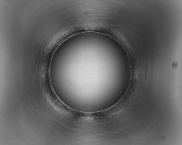 X0000112060687200908041215