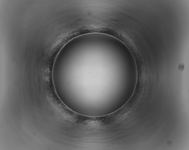 X0000112060689200908041215