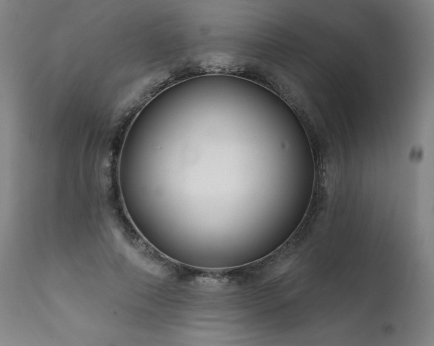 X0000112060690200908041215