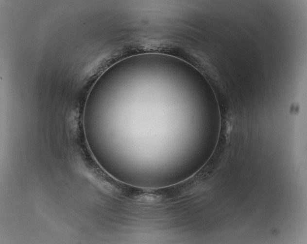 X0000112060691200908041215