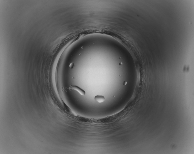 X0000112060693200908041215