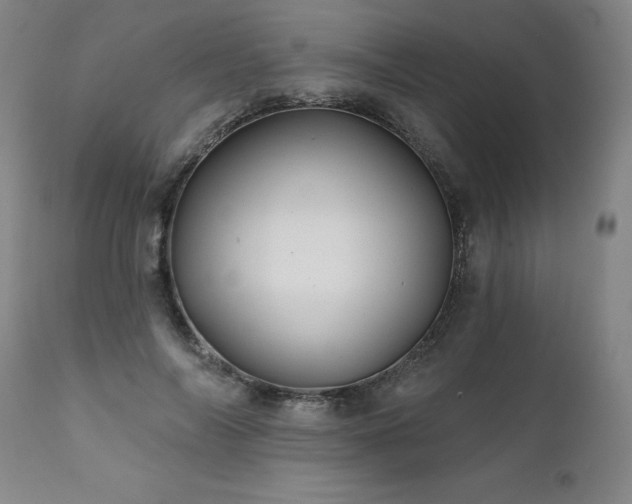 X0000112060694200908041215