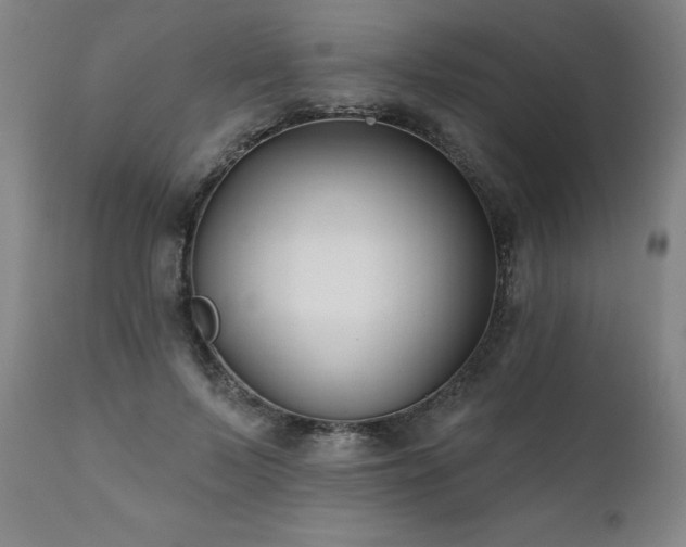 X0000112060695200908041215
