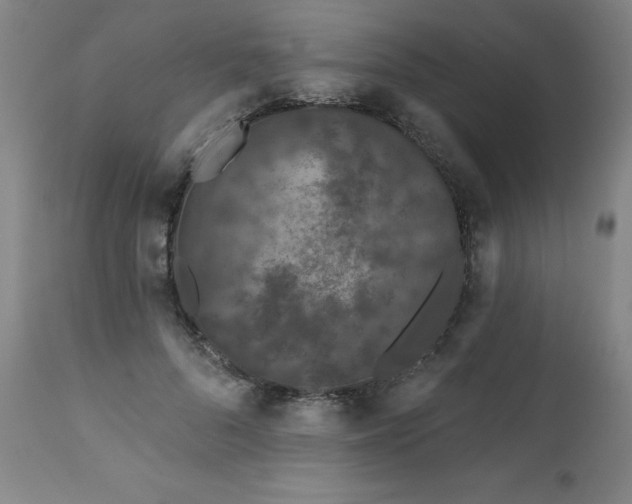 X0000112060696200908041215