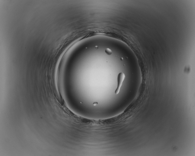 X0000112060697200908041215