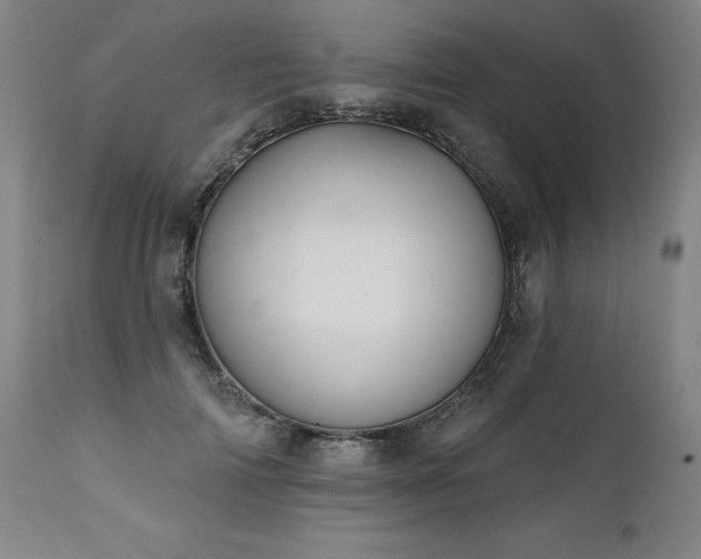 X0000112060698200908041215