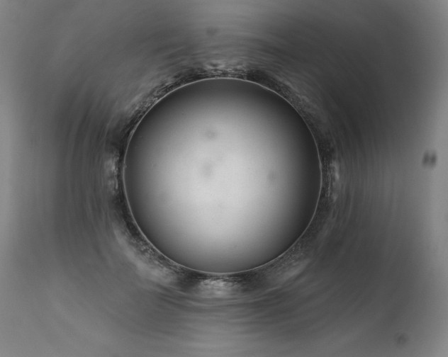 X0000112060699200908041215