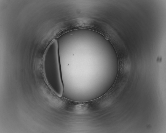 X0000112060700200908041215