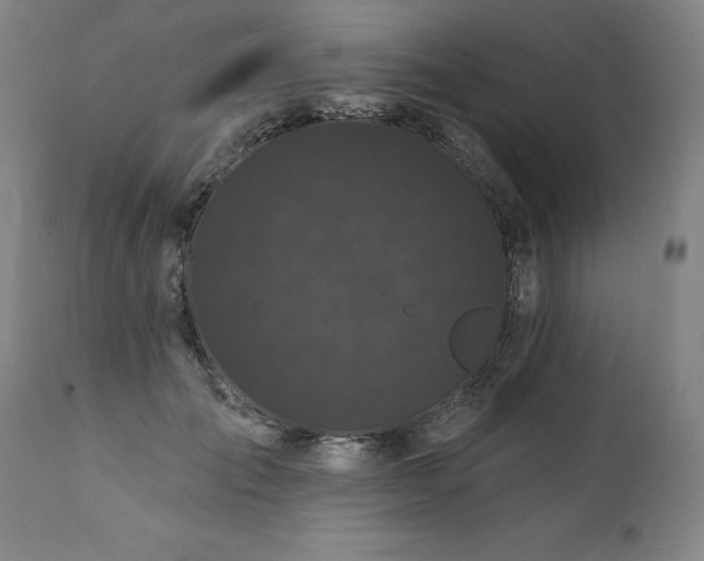 X0000112060701200908041215