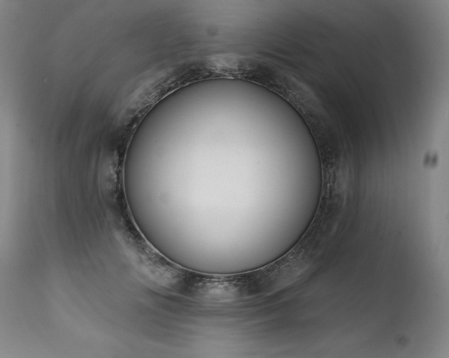 X0000112060702200908041215