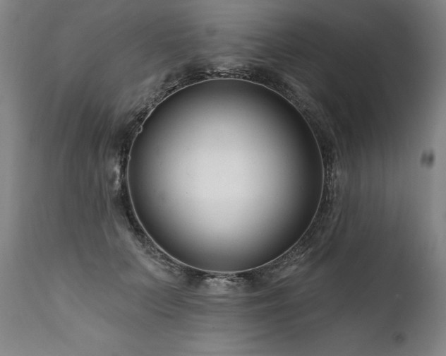 X0000112060703200908041215