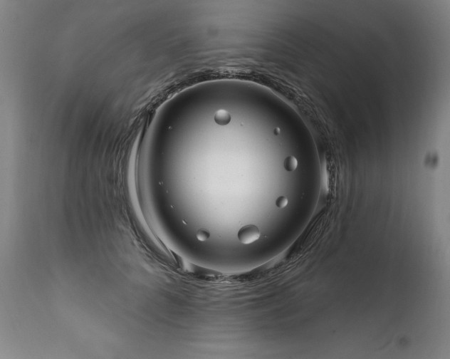 X0000112060704200908041215