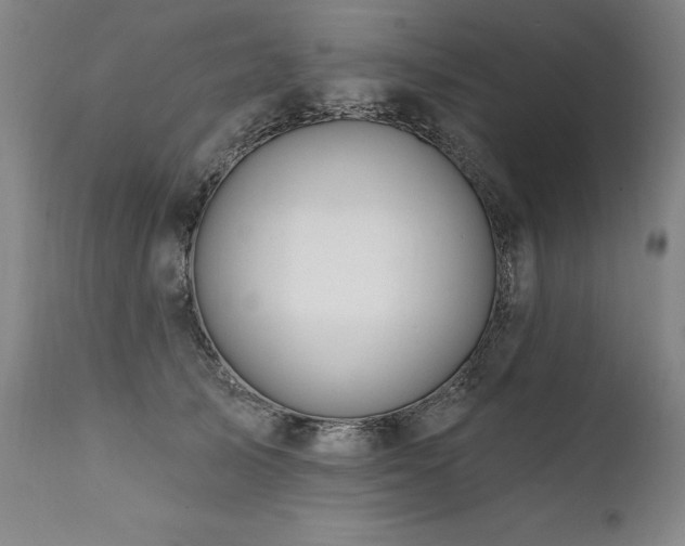 X0000112060705200908041215