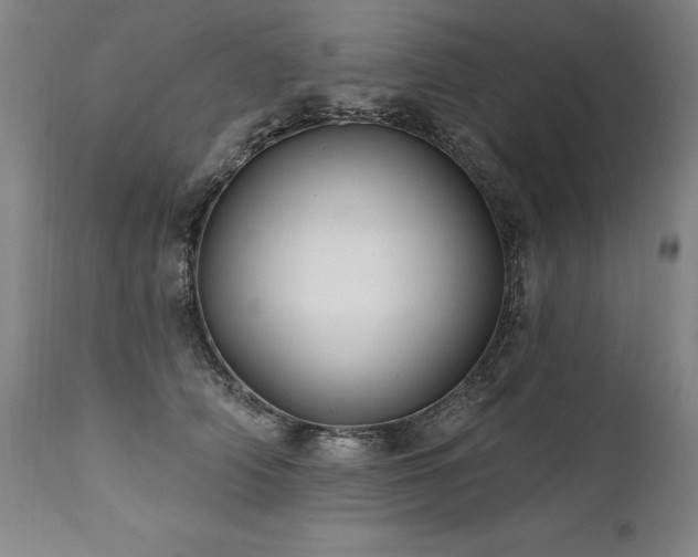 X0000112060706200908041215
