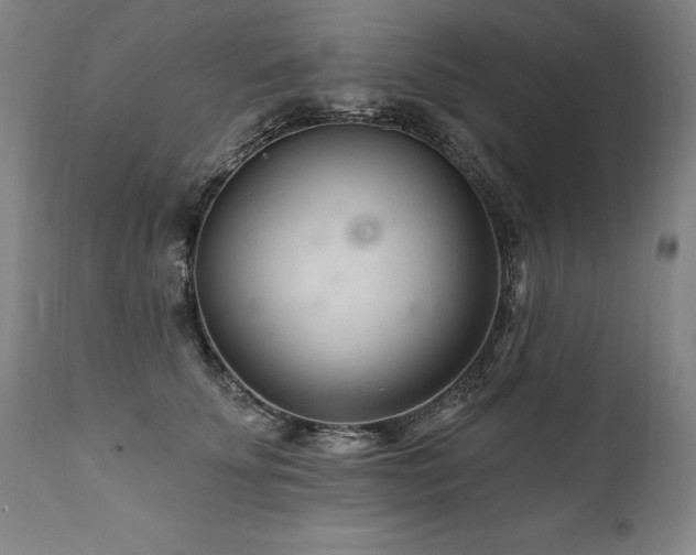 X0000112060707200908041215