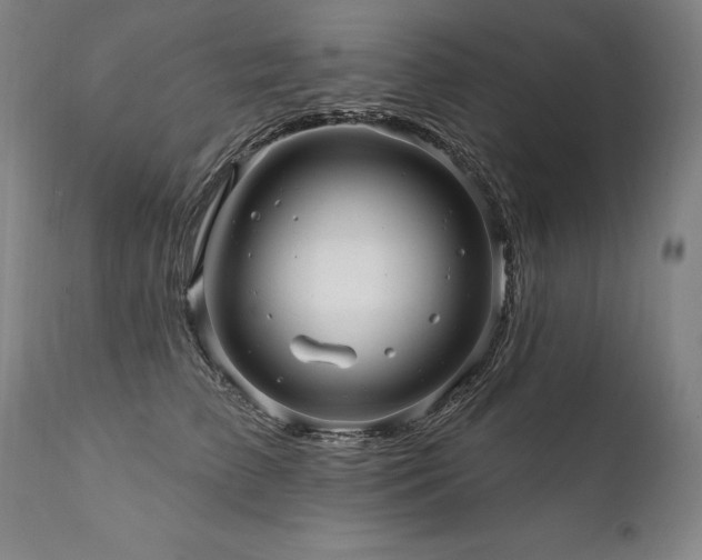 X0000112060709200908041215