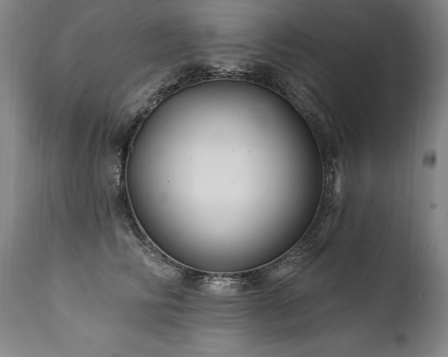 X0000112060710200908041215