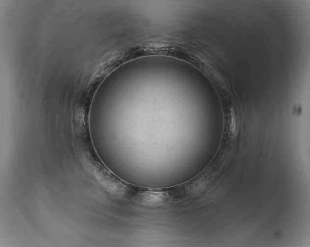 X0000112060711200908041215