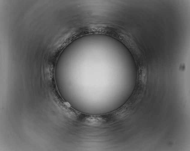 X0000112060712200908041215
