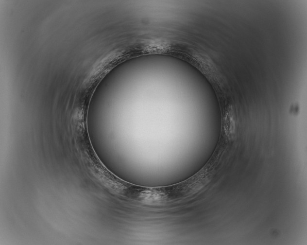 X0000112060714200908041215