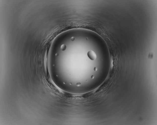 X0000112060716200908041215