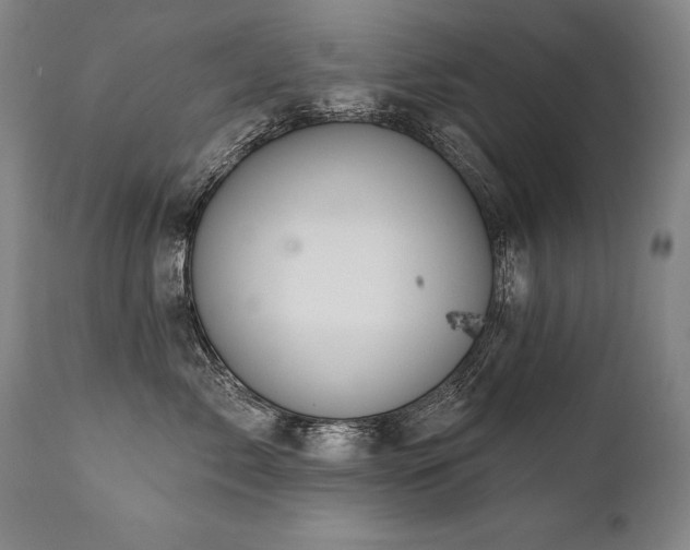 X0000112060717200908041215