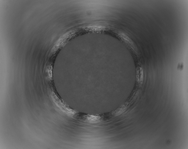X0000112060718200908041215