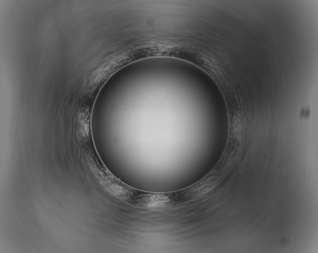 X0000112060719200908041214