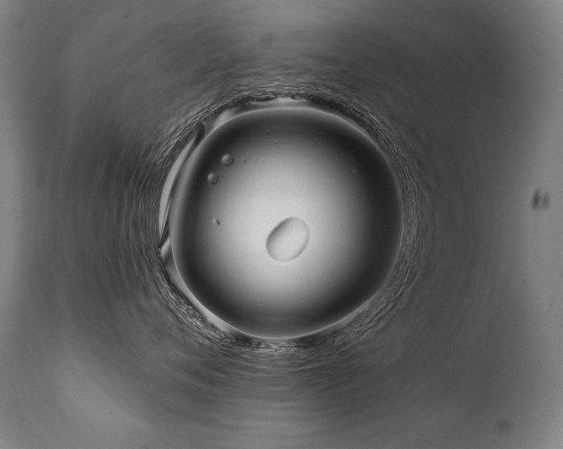 X0000112060720200908041214