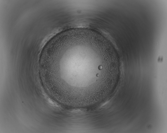 X0000112060721200908041214