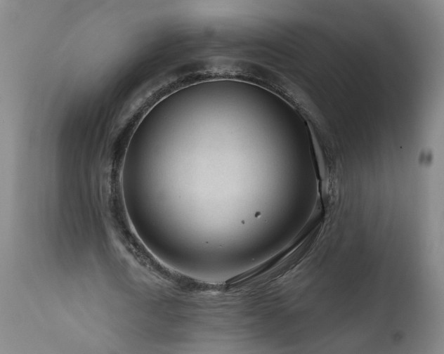 X0000112060722200908041214