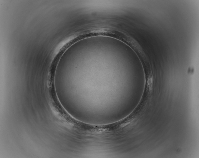 X0000112060724200908041214