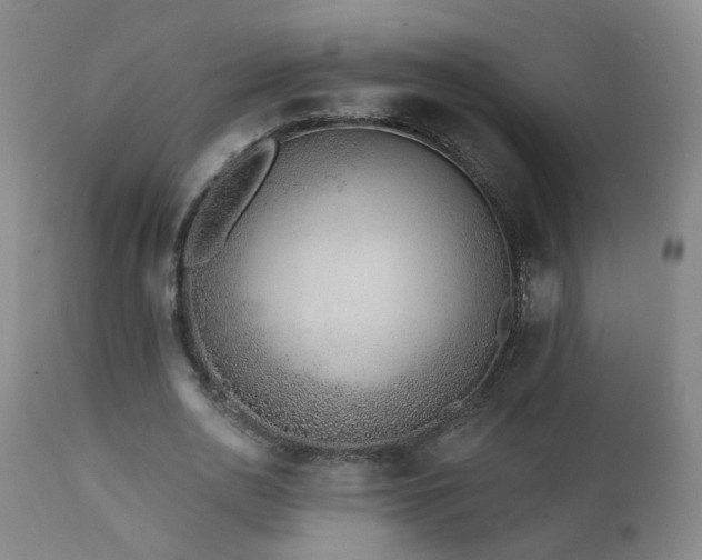 X0000112060726200908041214