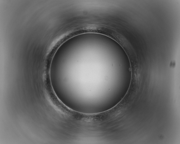 X0000112060728200908041214