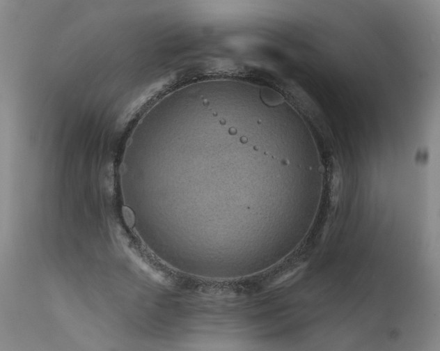 X0000112060729200908041214