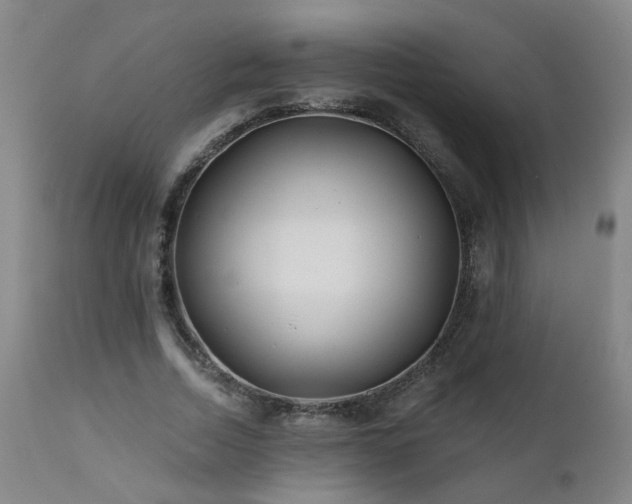 X0000112060730200908041214
