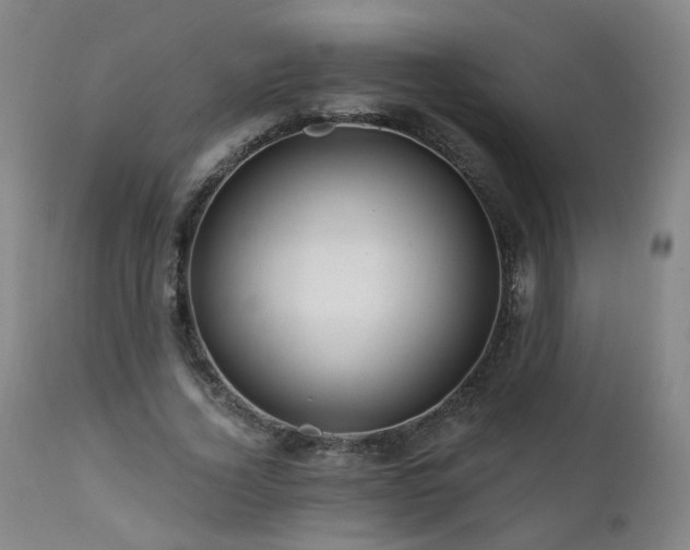 X0000112060732200908041214