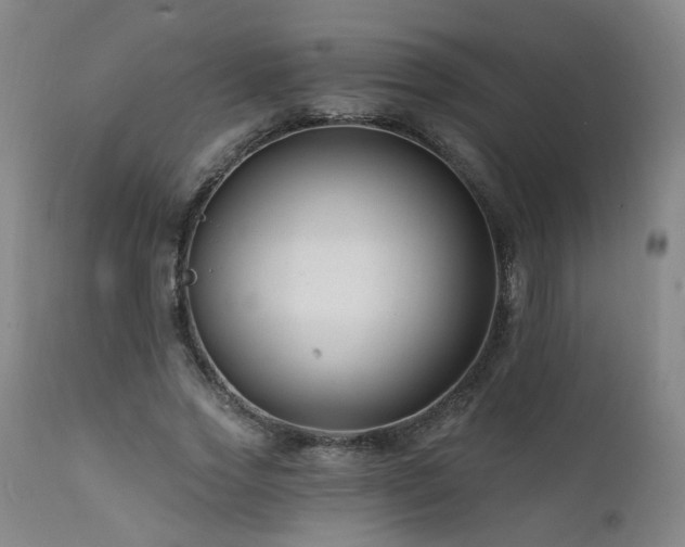 X0000112060733200908041214