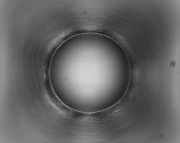 X0000112060734200908041214