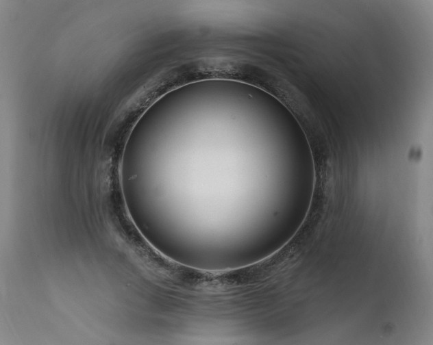 X0000112060735200908041214