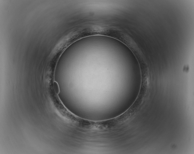 X0000112060736200908041214