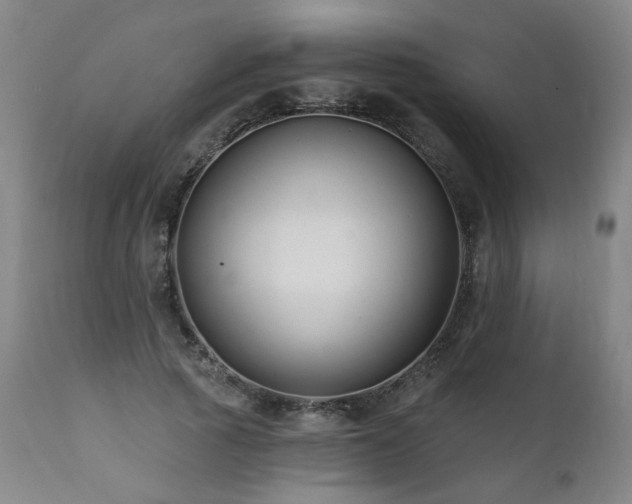 X0000112060737200908041214