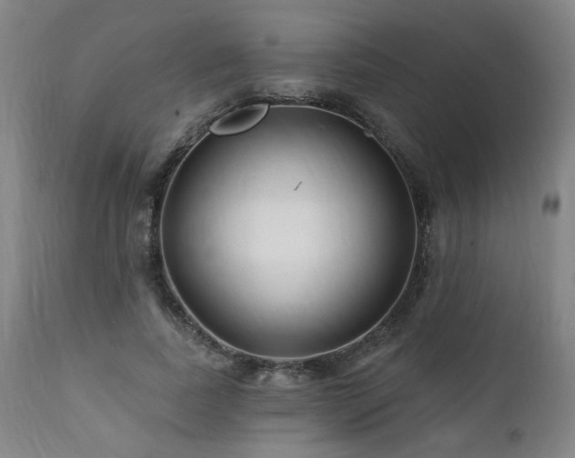 X0000112060739200908041214