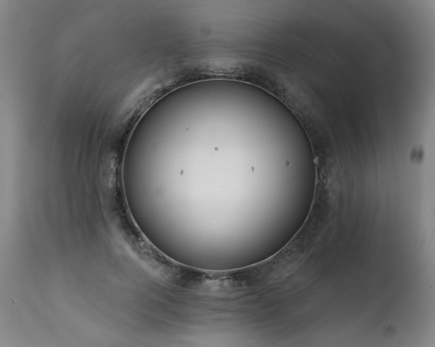X0000112060744200908041214