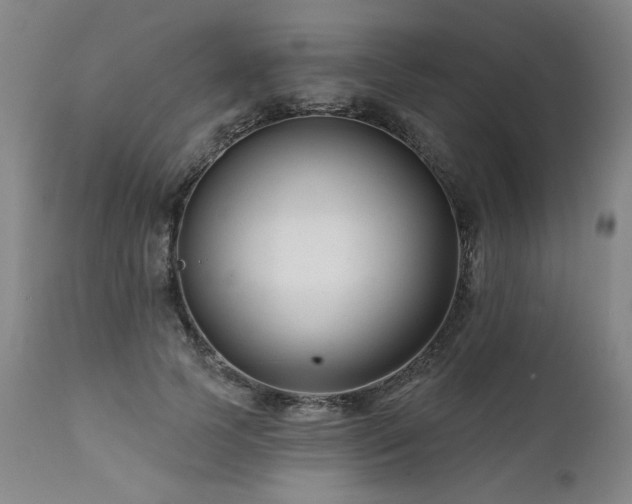 X0000112060745200908041214