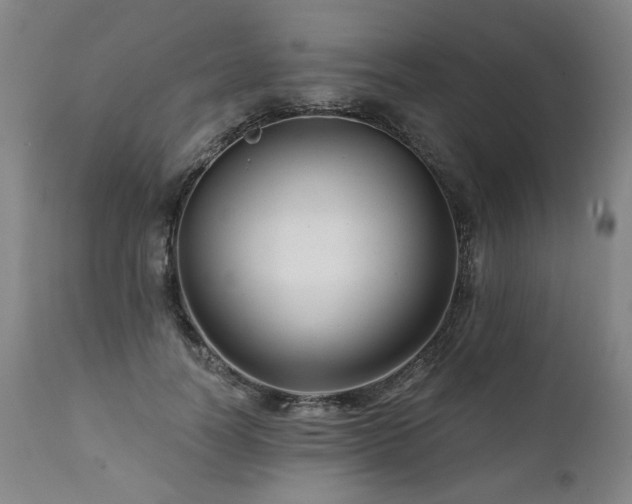 X0000112060746200908041214