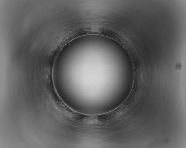 X0000112060747200908041214